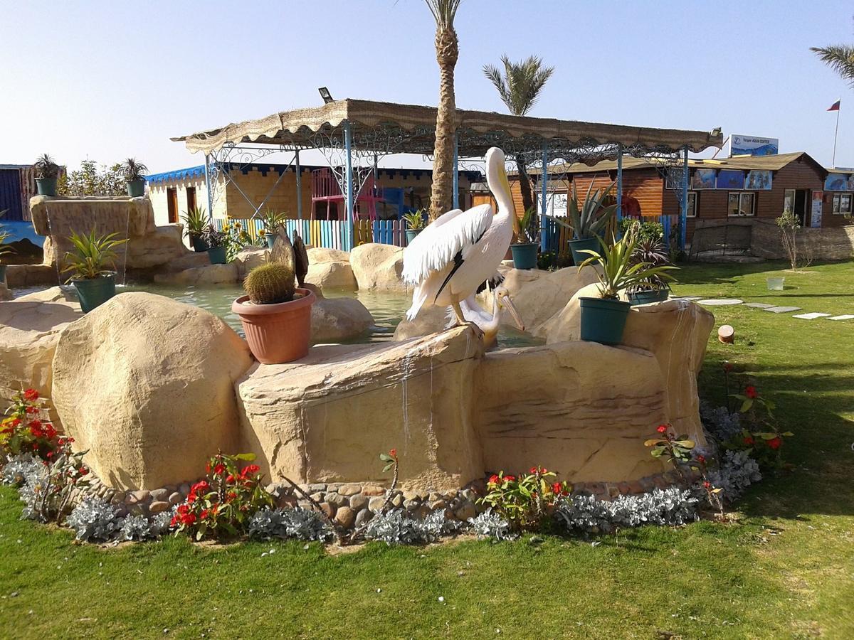 Hawaii Riviera Club Aqua Park - Families And Couples Only Hotel Hurghada Exterior photo